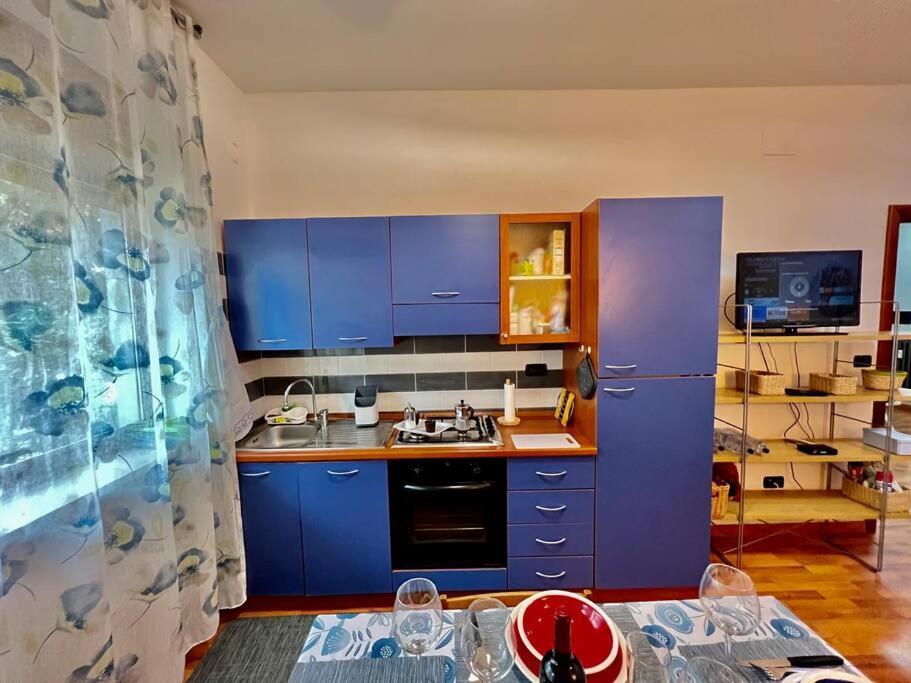 Blue House Relax E Divertimento Turin